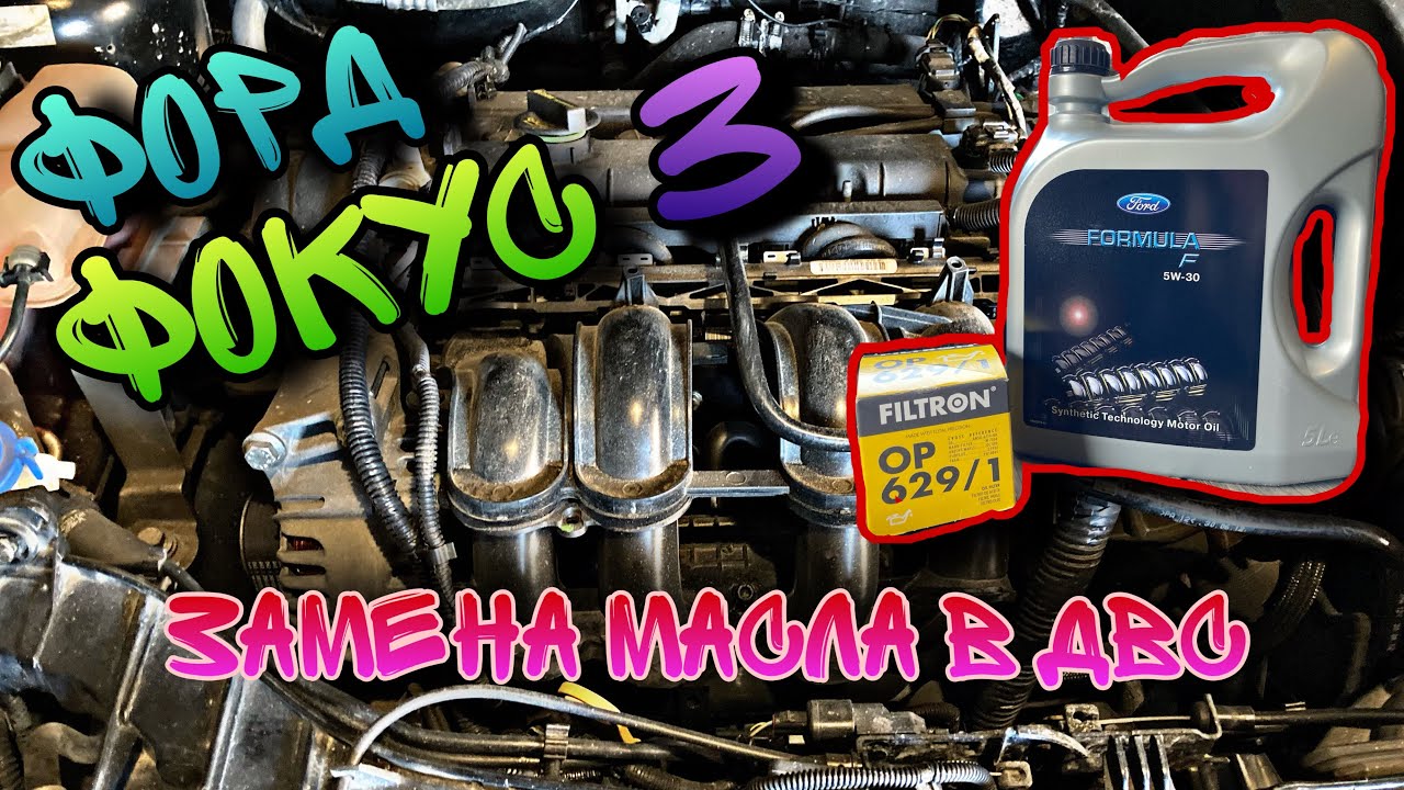 Замена масла в двигателе Форд Фокус 3. 1.6л., 125 л.с. (Ford Focus 3)