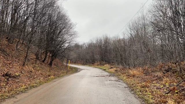 Прогулка вдоль берега Нугушское водохранилище, теплая осень 2023