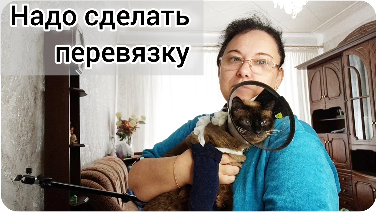 Как смогла, так и сделала)) Надо сделать перевязку кошке.