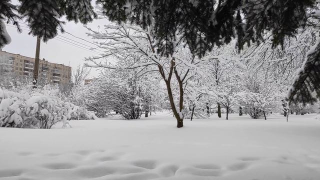 Колпино снег 29.03.23г. (муз)