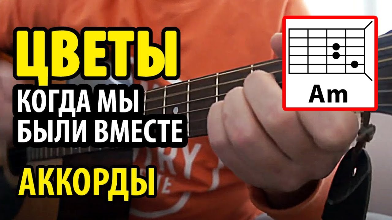 ЦВЕТЫ (КОГДА МЫ БЫЛИ ВМЕСТЕ) - АРМЕЙСКАЯ и ДВОРОВАЯ ПЕСНЯ (АККОРДЫ, БОЙ, ТЕКСТ - В ОПИСАНИИ К ВИДЕО)