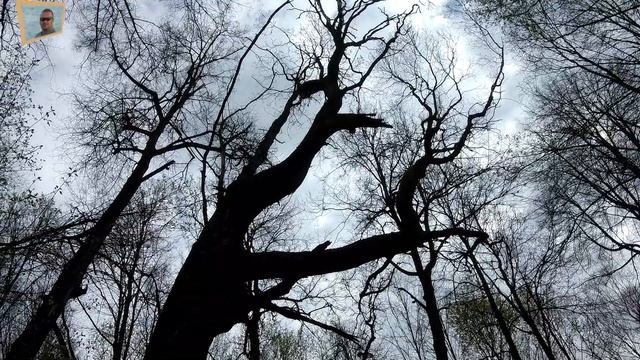 Майские дневники! Лето всё ближе! Измайловские тропы!.mp4