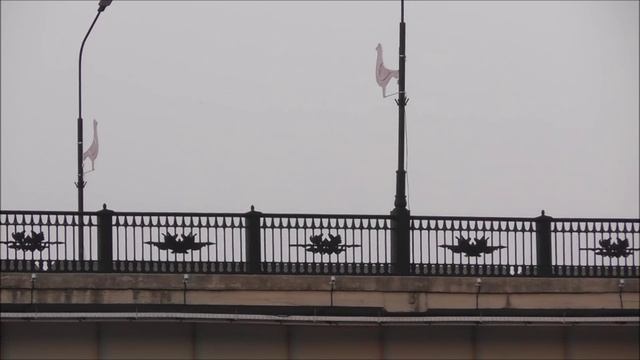 День города Великий Новгород, мост Александра Невского украшен декорациями птиц 27.08.2022