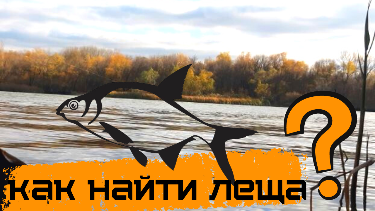 КАК МЕСТО ЛОВЛИ,ВЛИЯЕТ НА УЛОВ. ВЫБОР ДИСТАНЦИИ.ПОДАЧА КОРМА И ЖИВОТНОГО КОМПОНЕНТА!