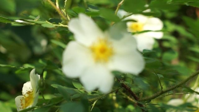 Зарисовка УСЛК