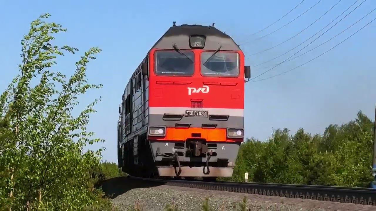 Природа севера и 2ТЭ116У-0250 с грузовым поездом