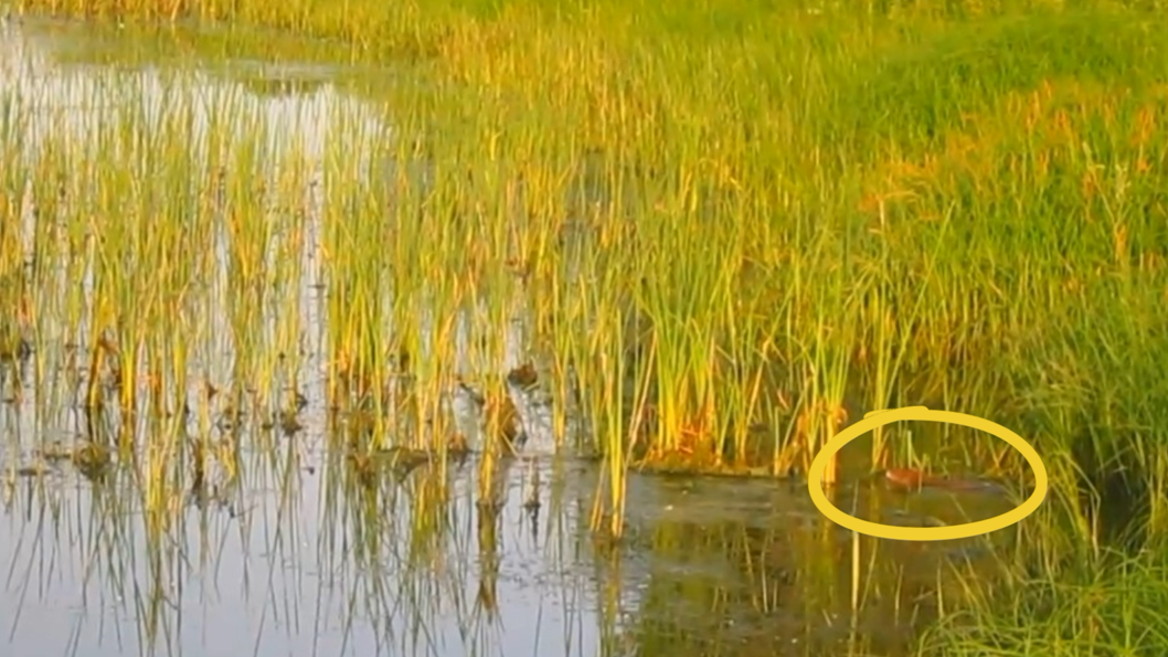 На Большом Иргизе