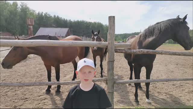 Я НА КОНЕ!!!!!