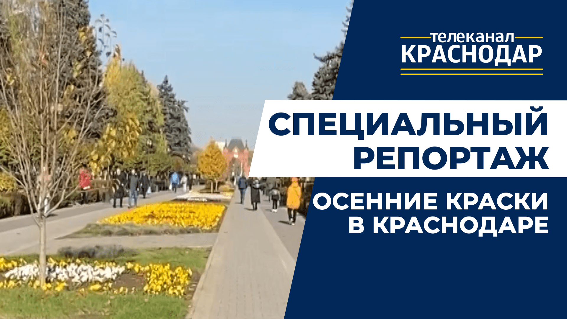 Красно-жёлтые листья, тепло солнца и улыбки прохожих. Как проходит осень 2022 в Краснодаре?