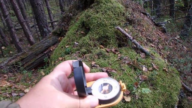 Ориентирование по природным признакам (микрорельеф)