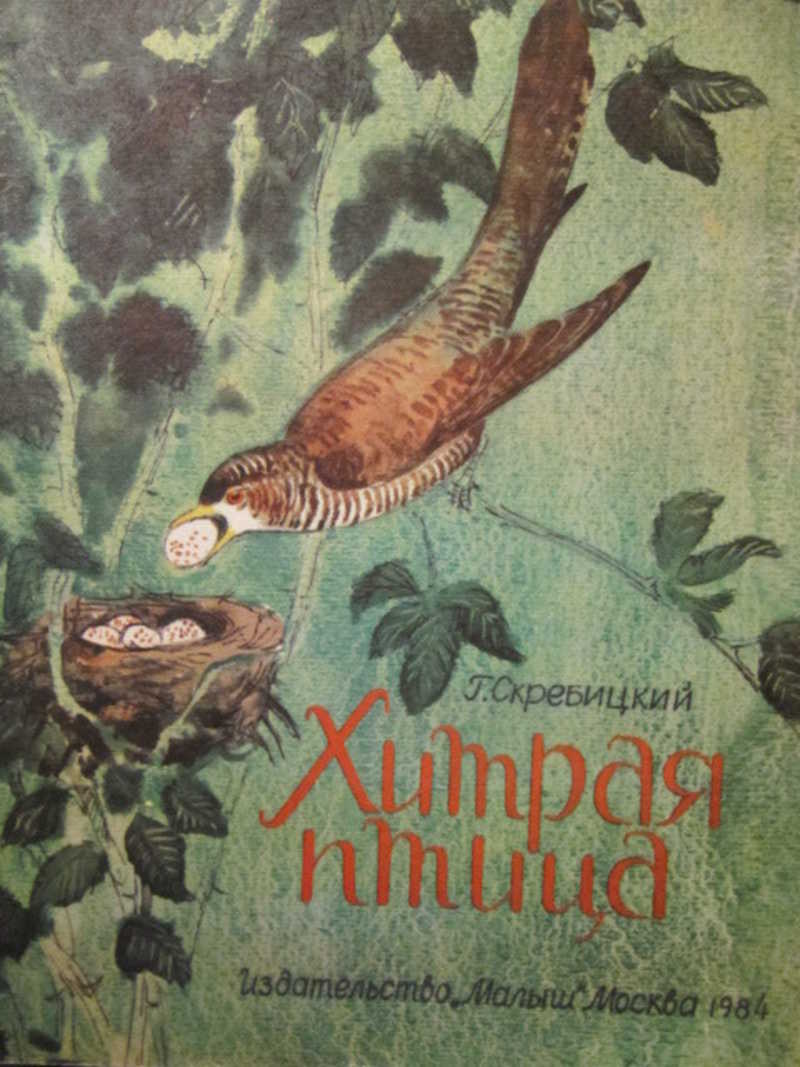 ХИТРАЯ ПТИЦА- Рассказ - Г.А. Скребицкий