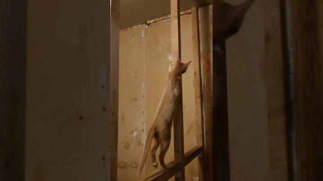 АБИзянки одобряют каркас санузла в дачном доме