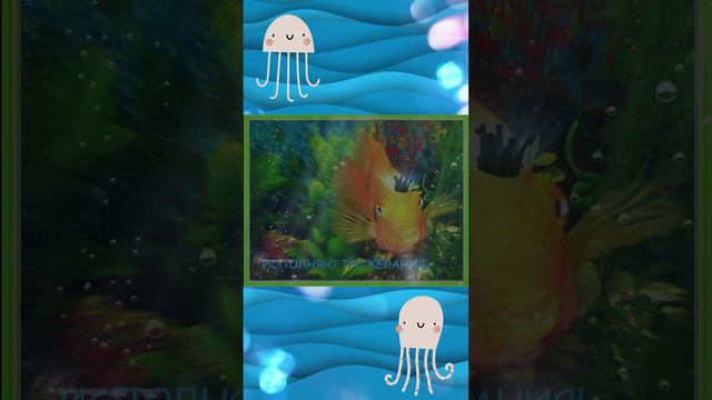 Золотая рыбка