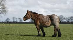 Выйду ночью в поле с конём.mp4