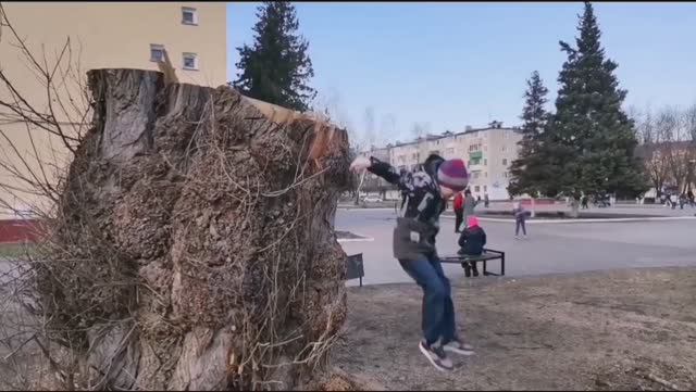 Какой чудесный пень!