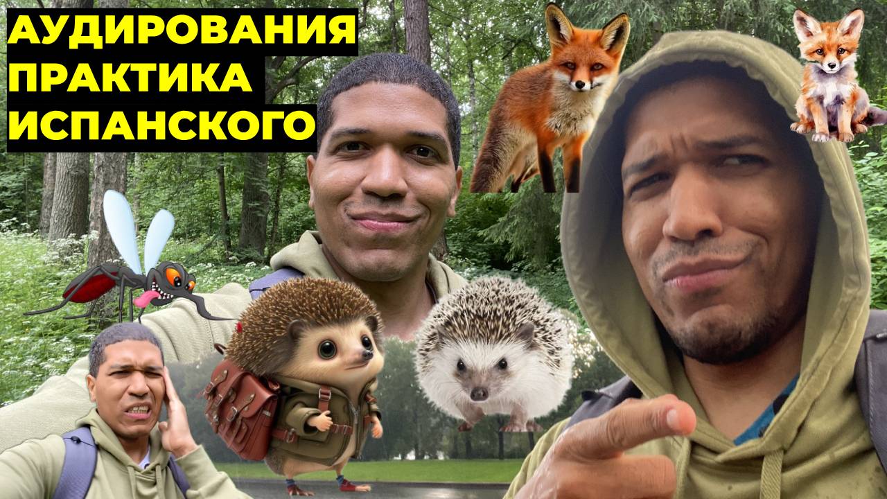 ПРАКТИКА АУДИРОВАНИЯ ИСПАНСКОГО: ✅ Я Нашел Что-то в Лесу 🔥