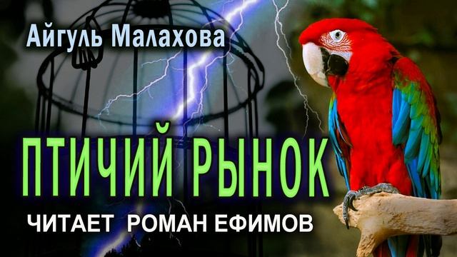 ПТИЧИЙ РЫНОК (аудиокнига). МИСТИКА. Айгуль Малахова. Читает Роман Ефимов.
