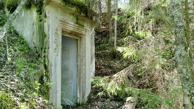 "БУНКЕР МЕРЕЦКОВА". Студия LiveTube, п. Летнереченский, Беломорский район, Республика Карелия