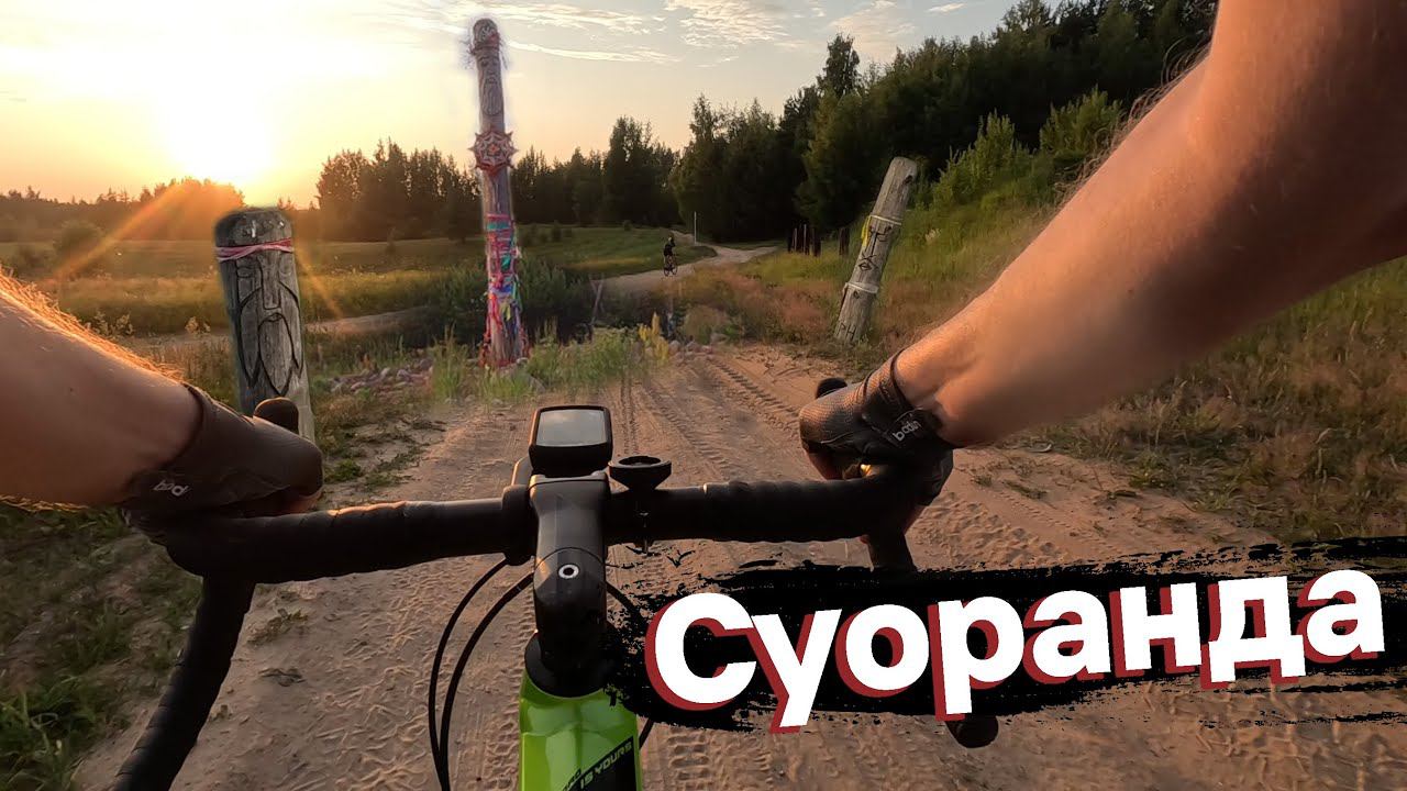 Суоранда. Колтушские высоты. Всеволожск. На велосипеде | 2023.06.29