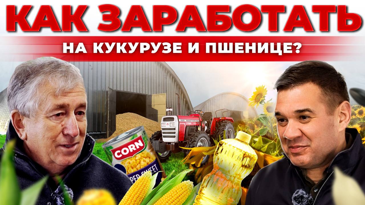 Миллионы на кукурузе | Агробизнес в КЧР | Какие культуры прибыльнее? Андрей Даниленко