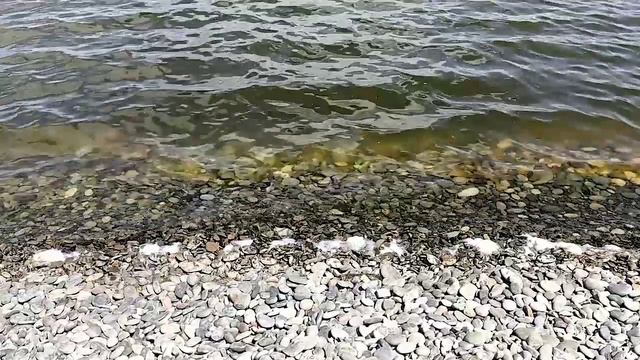 Отчёт по практике "Южный район Новороссийска" Трембицкая