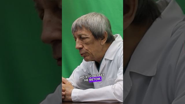 Ветом. Полное видео на канале "Время Открыть"