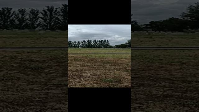 Воинское мемориальное кладбище. Мамаев Курган.