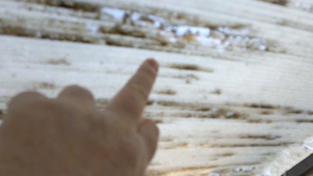 8 мая  -3 Борьба за урожай продолжается