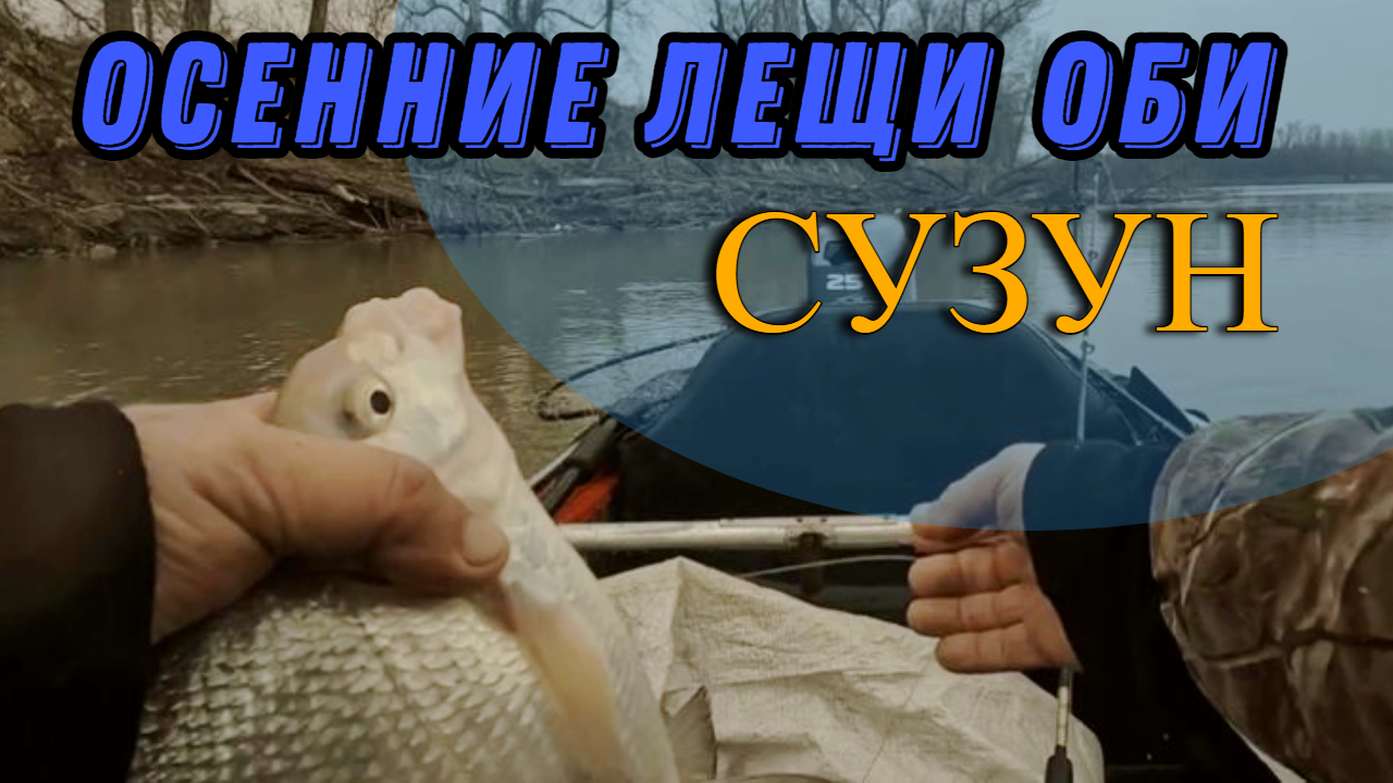 Рыбалка на Оби (Сузун) 23 октября 2022г. Поздняя осень. Лещи. Обские слоники.