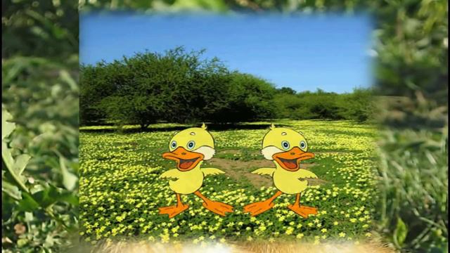 Танец маленьких утят