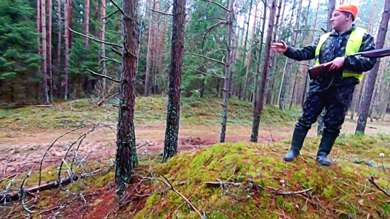 Загонная ОХОТА. ГОРКА. 4 января 2023г.