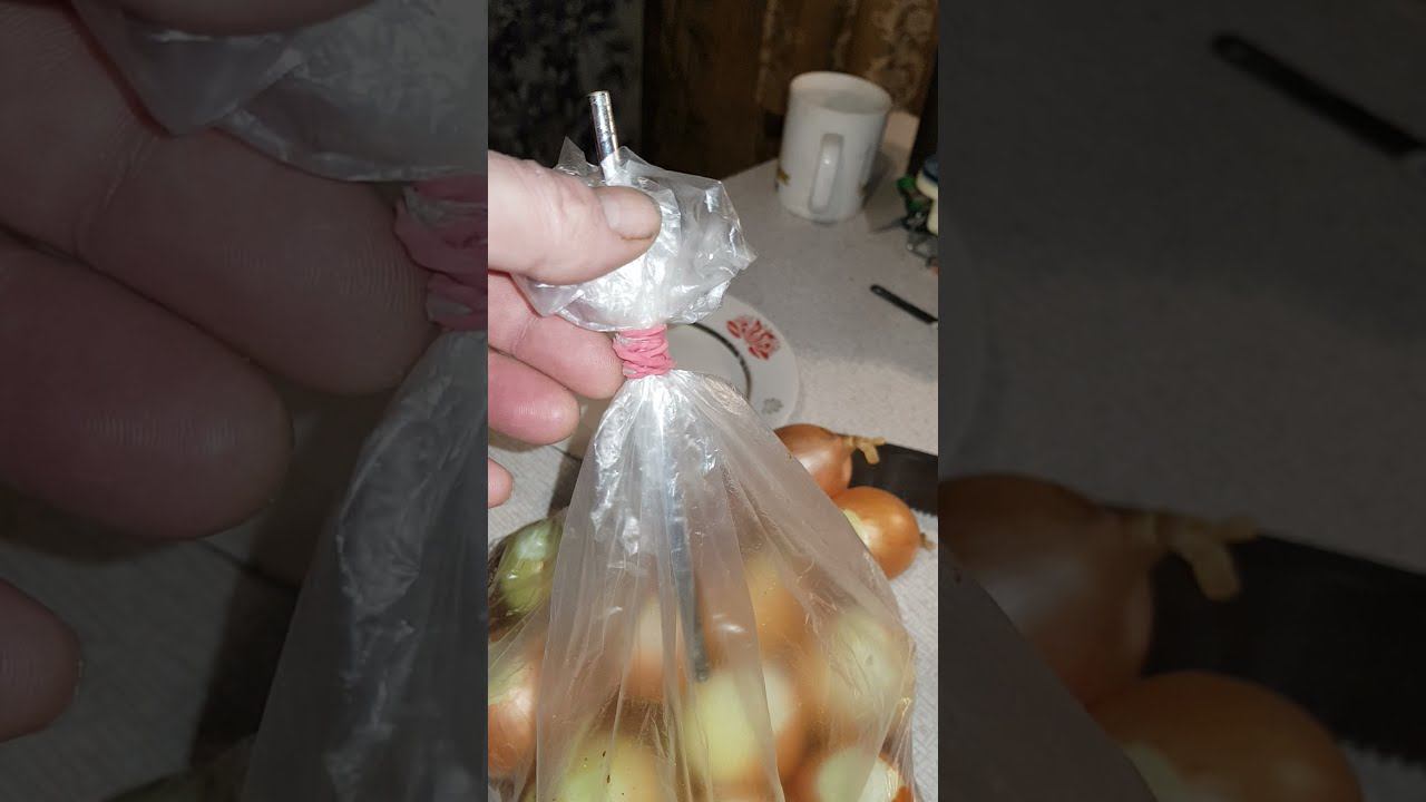 зелёный лук на подоконнике (ч-1)...