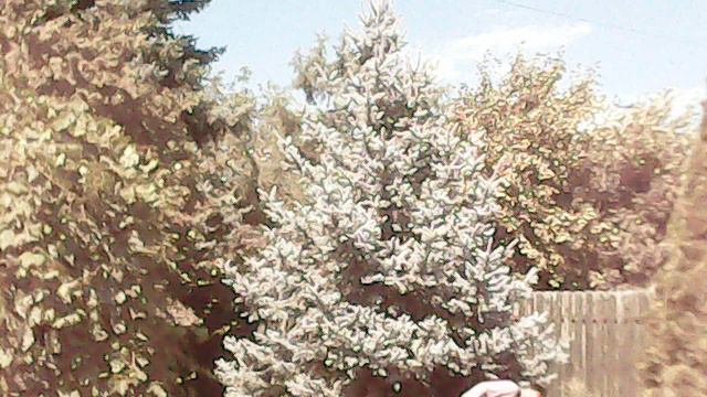 Механический АВИАТЛОН (центробежный запуск)