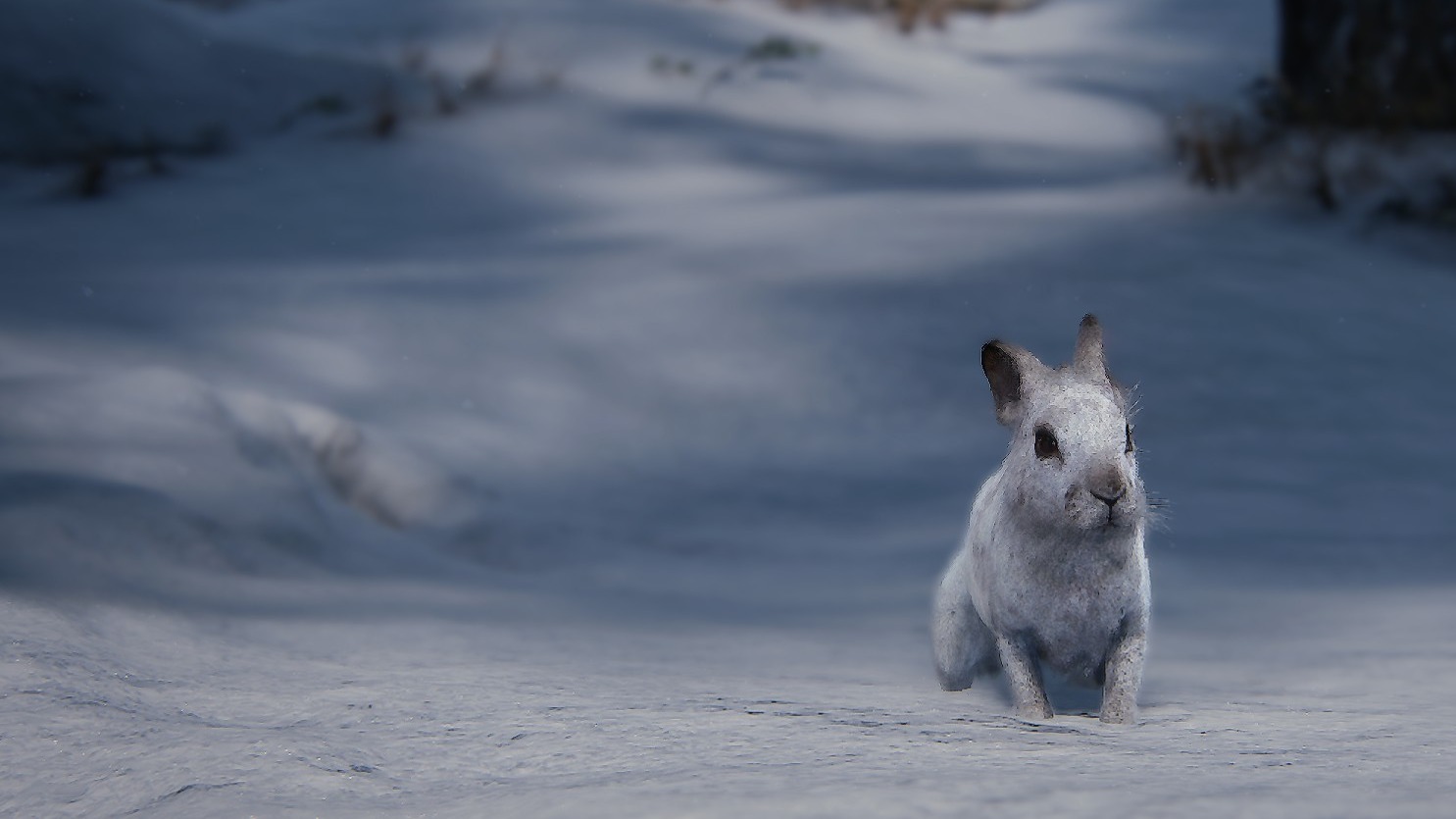 Last of Us Remastered: Удивительная роль Джексона ?