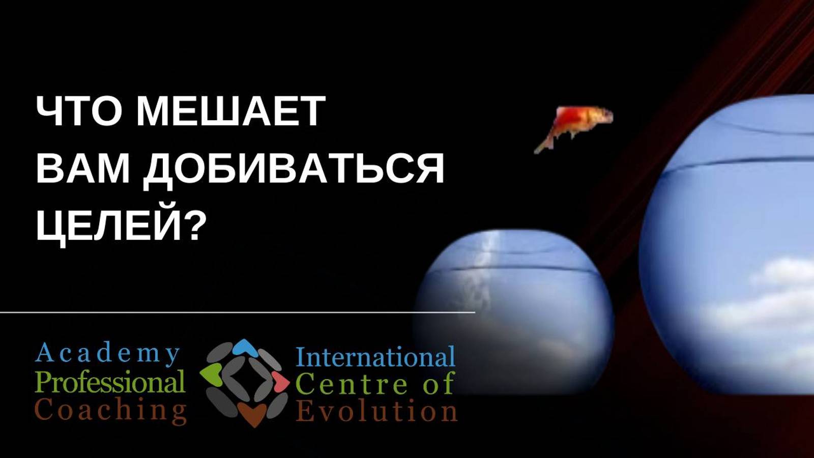 Что мешает вам добиваться целей? / УБЕЖДЕНИЯ