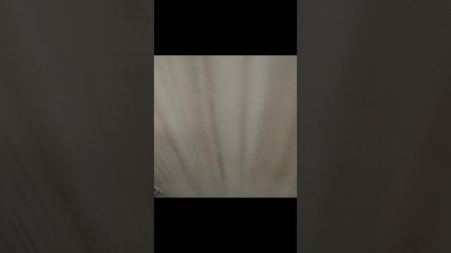 санаторий Сибирь, 1 этаж, лифты, 8 этаж, прачечная, гладильная