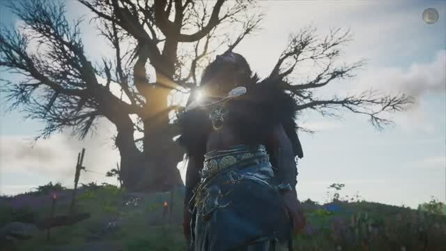 Assassin's Creed_ Valhalla. Где найти бешеные цветы для берсерка Бьёрна