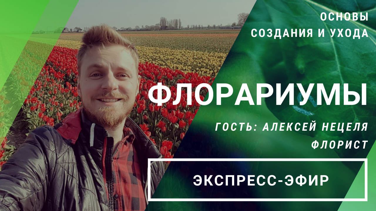 Прямой эфир «Флорариумы: основы создания и ухода» // 11.07.2020
