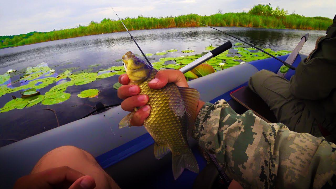 РЫБАЛКА НА ОЗЕРЕ МОЩНЫЕ ПОКЛЁВКИ АФРОКАРАСЕЙ! РЫБАЛКА НА КАРАСЯ