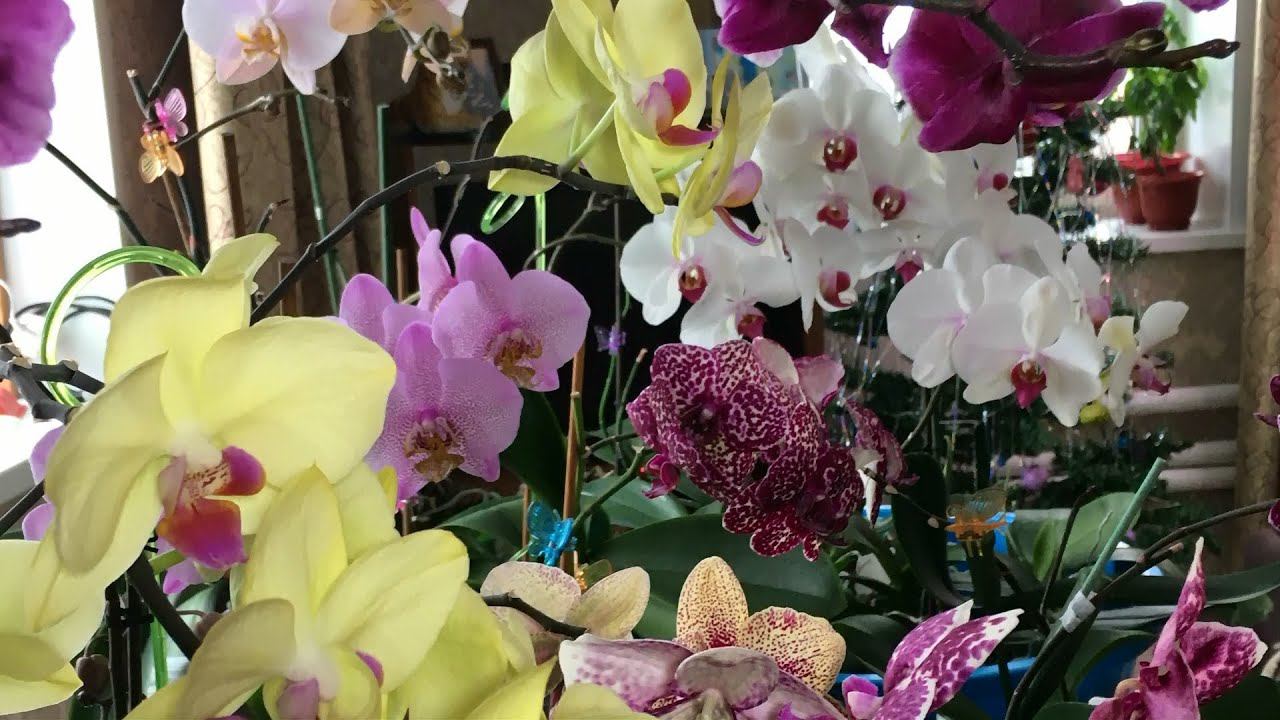 Вспоминая год прошедший