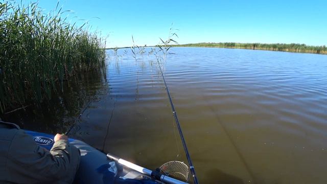 РЫБАЛКА НА КАРАСЯ В АВГУСТЕ КЛЁВ КАК ИЗ ПУЛИМЁТА