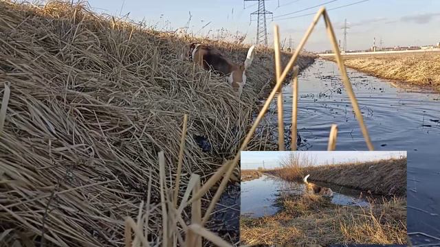 Грунец 2024г. (муз.)