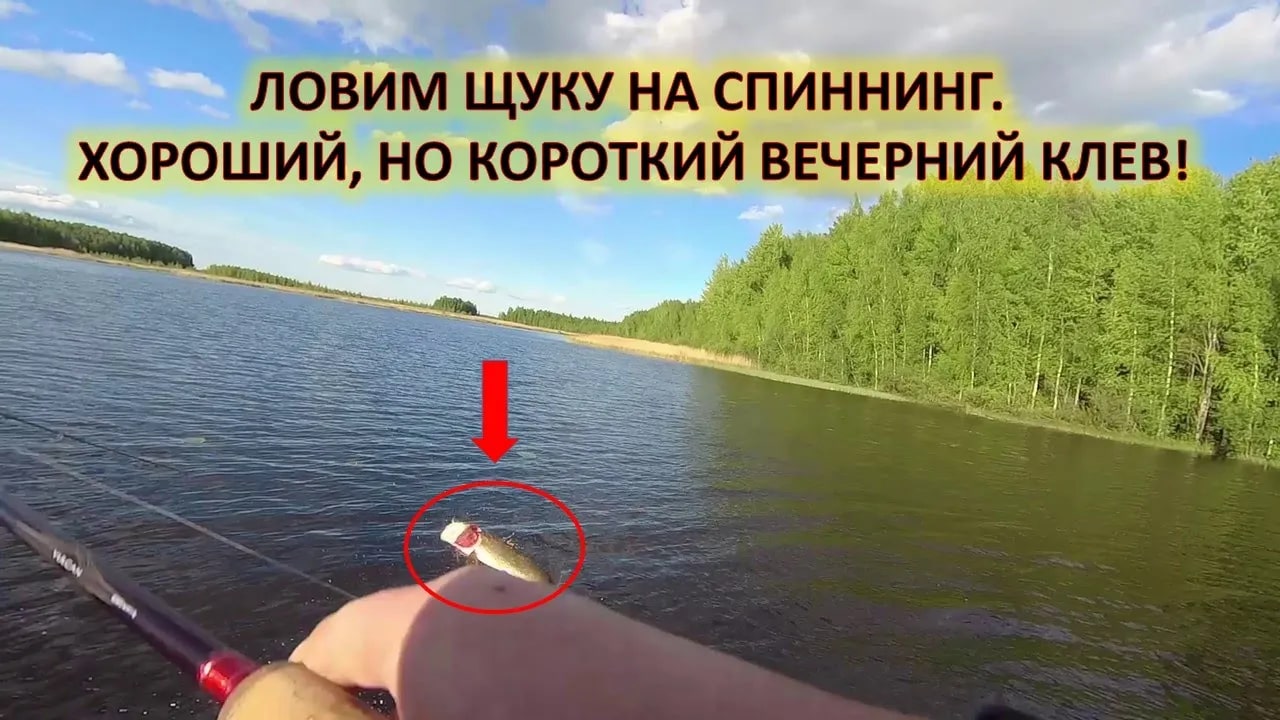 Рыбалка. Ловля щуки летом. Рыбалка на спиннинг.