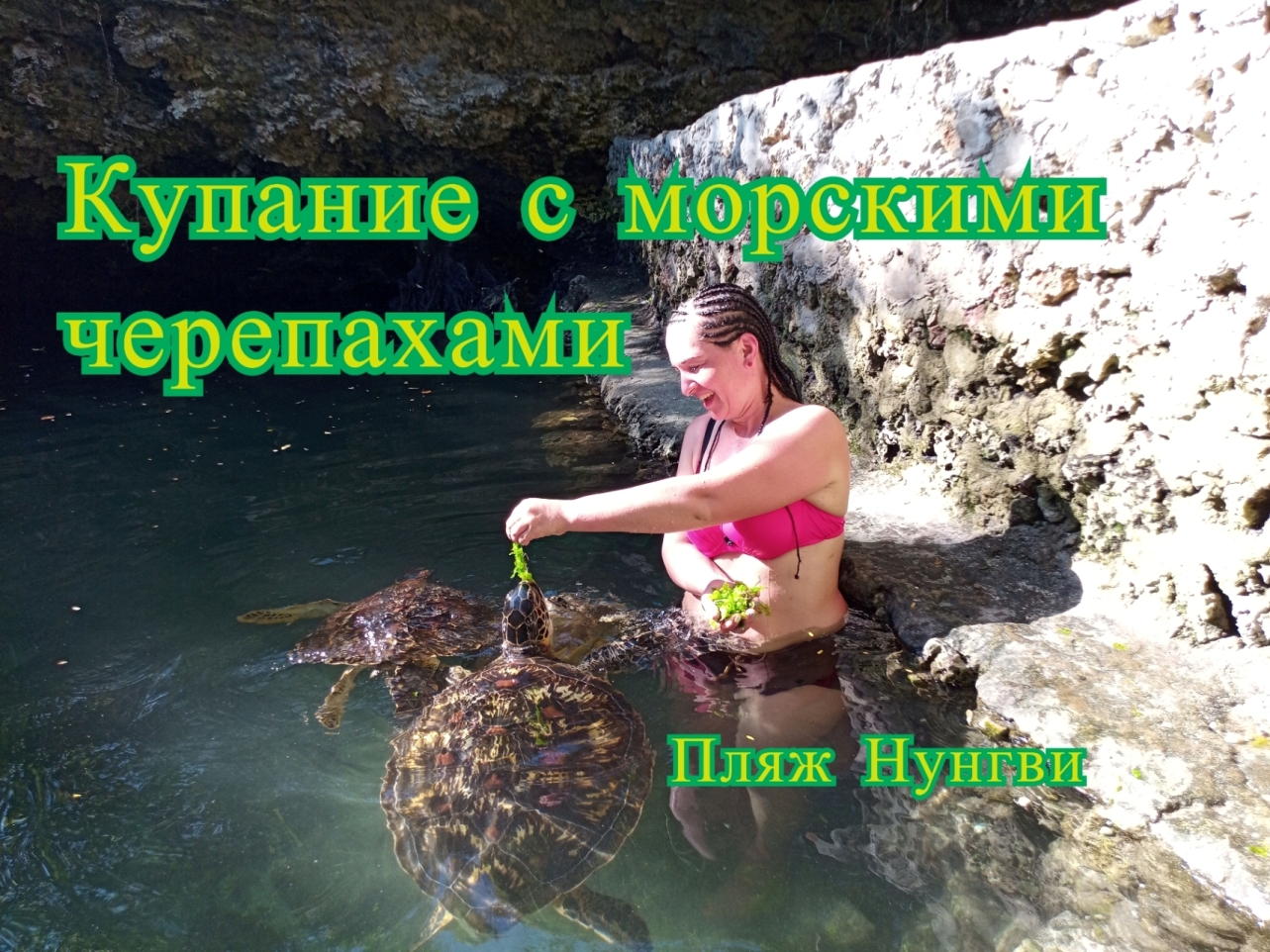 Купание с морскими черепахами на Занзибаре, пляж Nungwi *Нунгви*