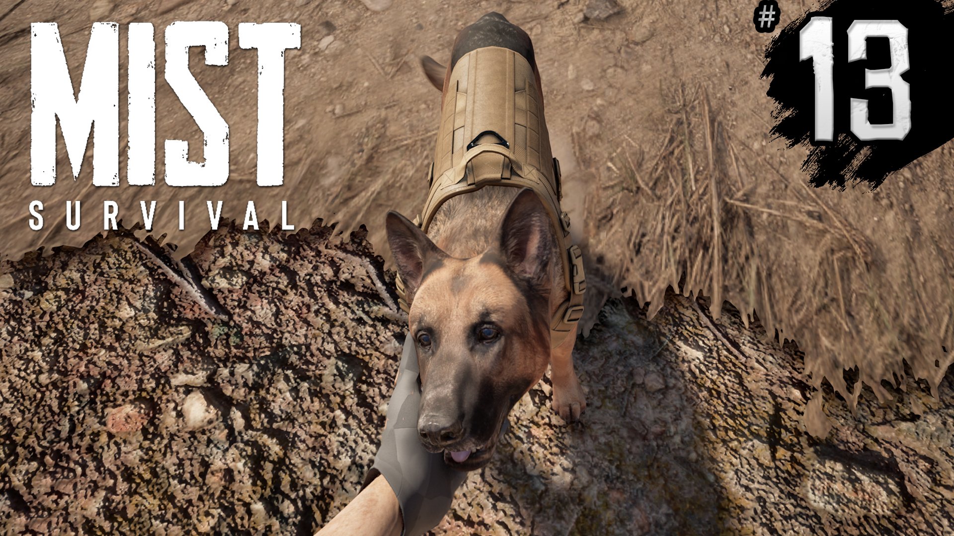 ДОБАВИЛИ СОБАКУ ► Mist survival #13 ► БОЛЬШОЕ ОБНОВЛЕНИЕ ► НОВАЯ ГРАФА