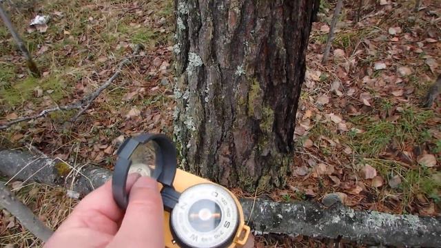 Ориентирование в кризисной ситуации. Правильный мох