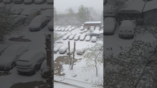 Караул, завалило снегом! А кто то хотел посадить лук в мае. 04.05.2024г.