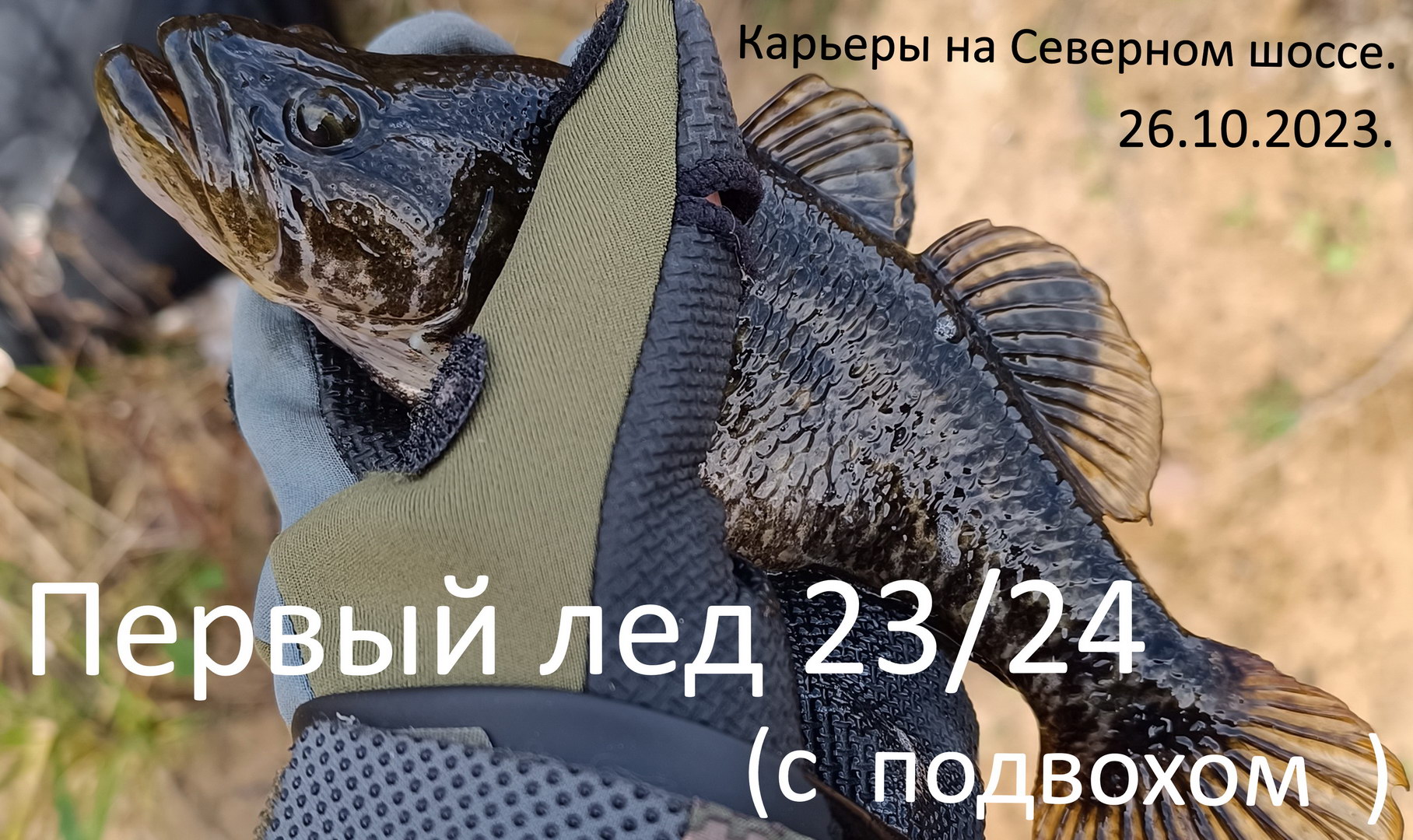 Первый лёд сезона 2023/2024(с подвохом :) ). Трофей. Карьеры на Северном шоссе. 26.10.2023.