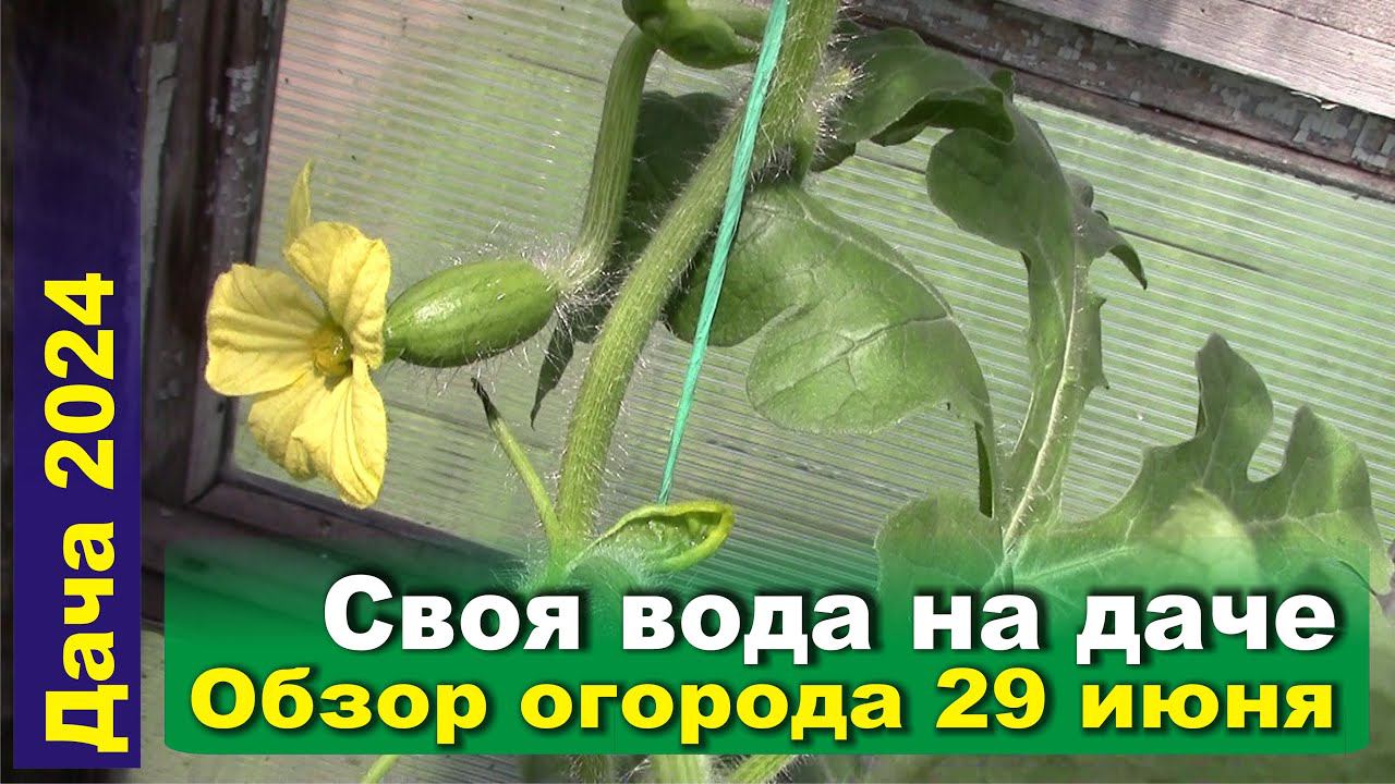 Своя вода на даче это независимость. Обзор дачи на 29 июня 2024