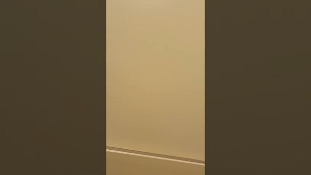 28.09.2019 ПОЕЗД247,РАННЕЕ УТРО,ВСЕ СПЯТ,НЕ УДОБНО СНИМАТЬ НА ХОДУ СОННОЙ.☝️????.mp4